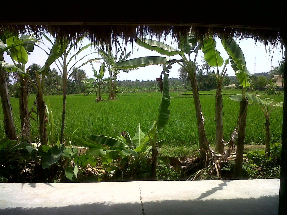 Cimajasquare Hotel & Restaurant Pelabuhan Ratu Exterior photo